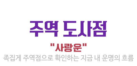 주역도사점